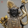 Brass Srinath Ji Standing, Golden & Black& Smooth Finish, 32"