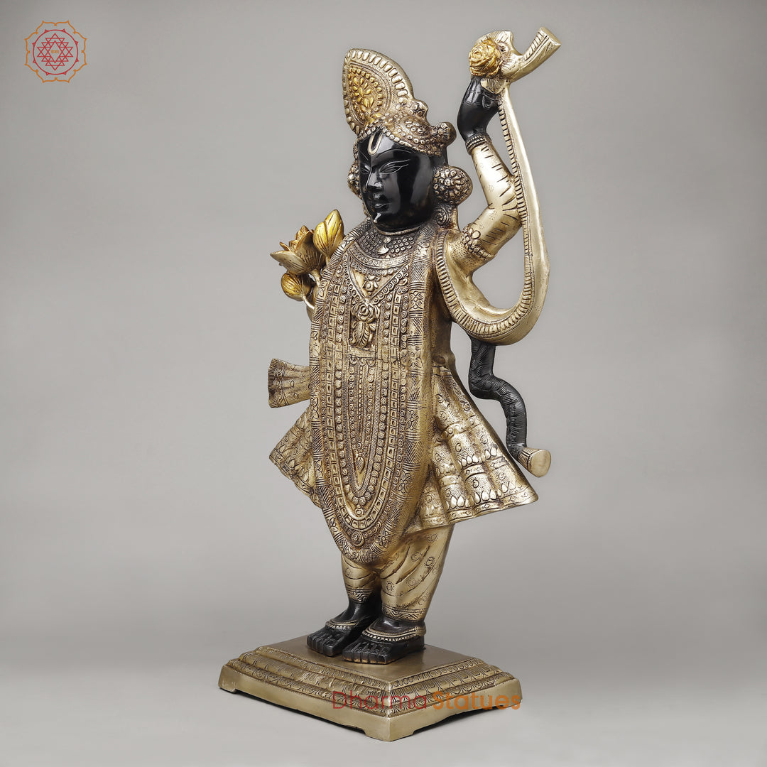 Brass Srinath Ji Standing, Golden & Black& Smooth Finish, 32"