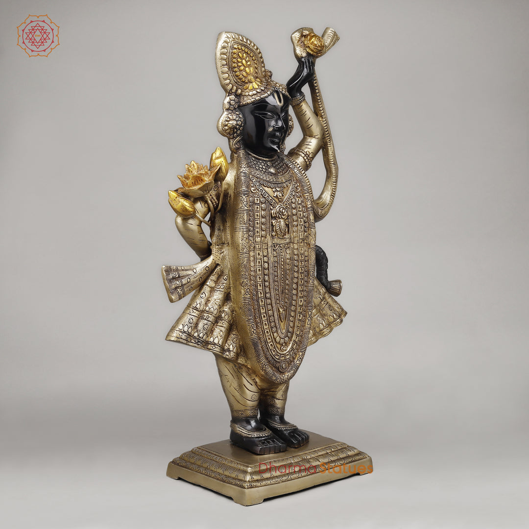 Brass Srinath Ji Standing, Golden & Black& Smooth Finish, 32"