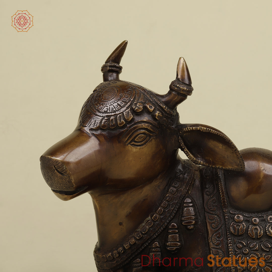 Brass Nandi, Copper Finish, 12"