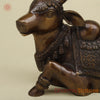 Brass Nandi, Copper Finish, 12"