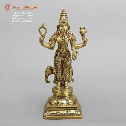 Brass Navgrah standing Fine, Golden finish 12”