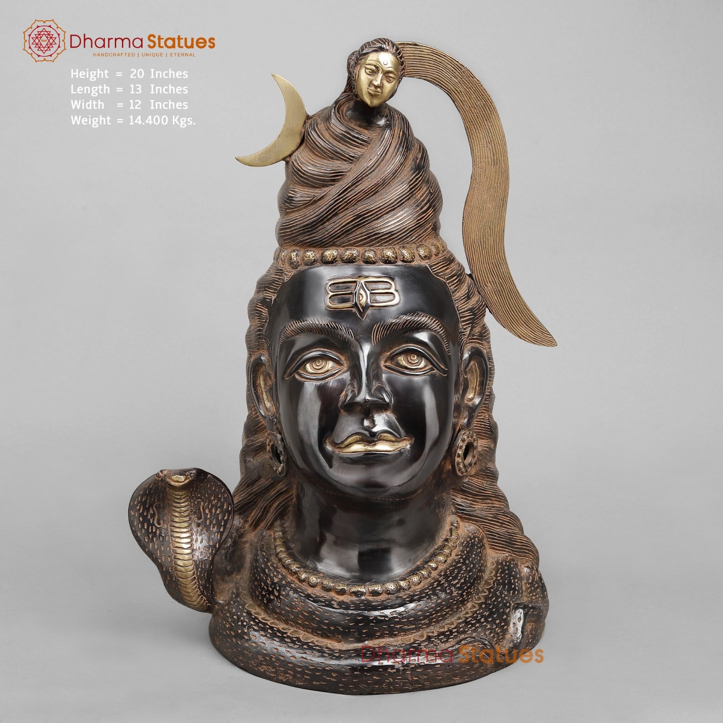 Brass Shiva Head With Ganga, Royal Black Finish 20”