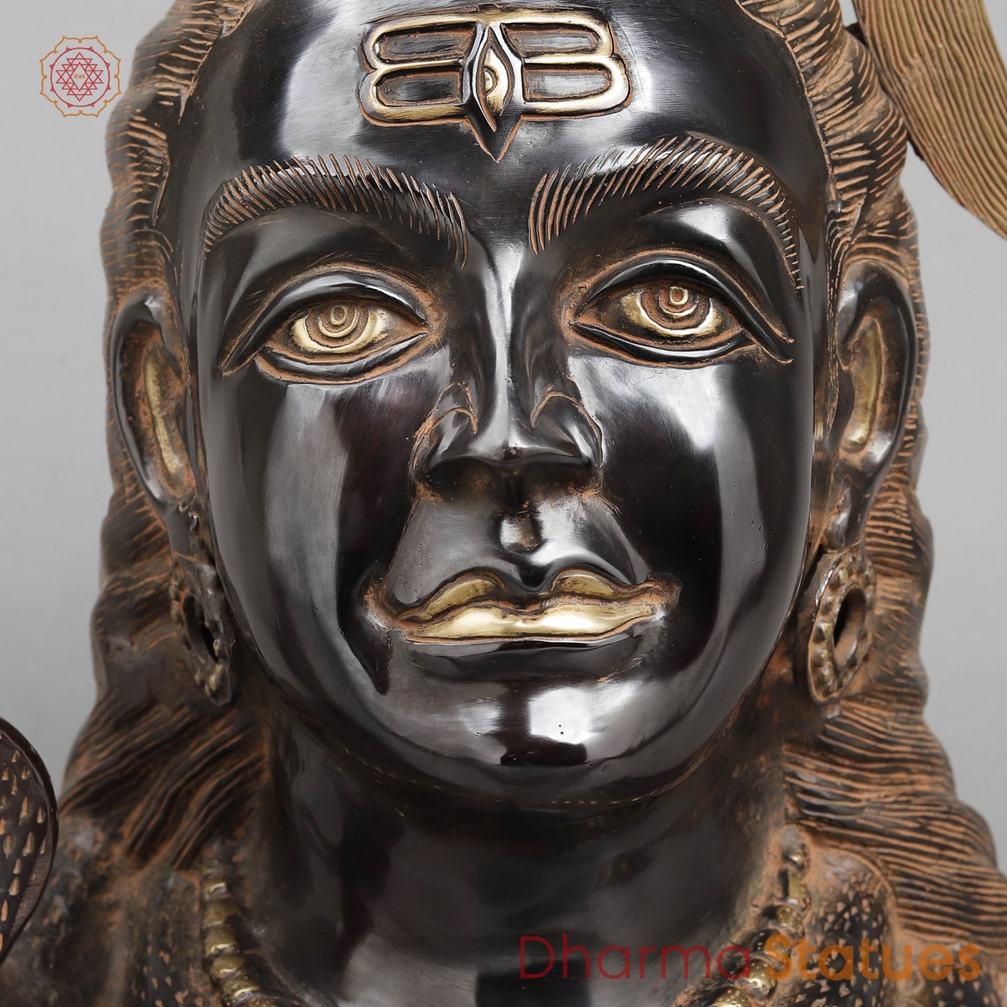 Brass Shiva Head With Ganga, Royal Black Finish 20”