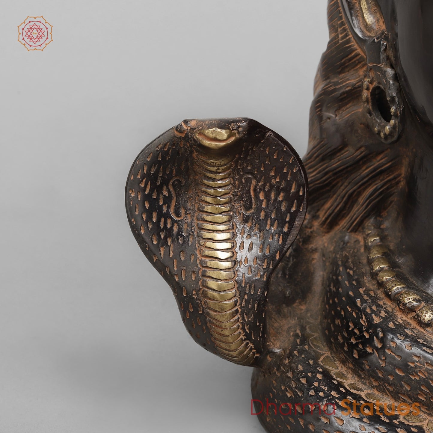 Brass Shiva Head With Ganga, Royal Black Finish 20”