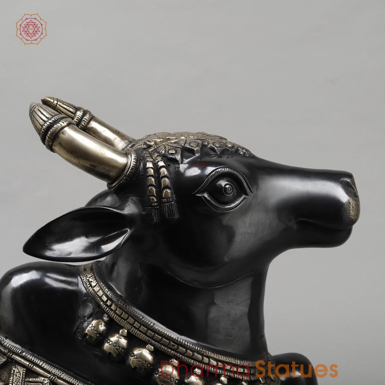Brass Nandi Seated Fine, Royal Black Finish 21”