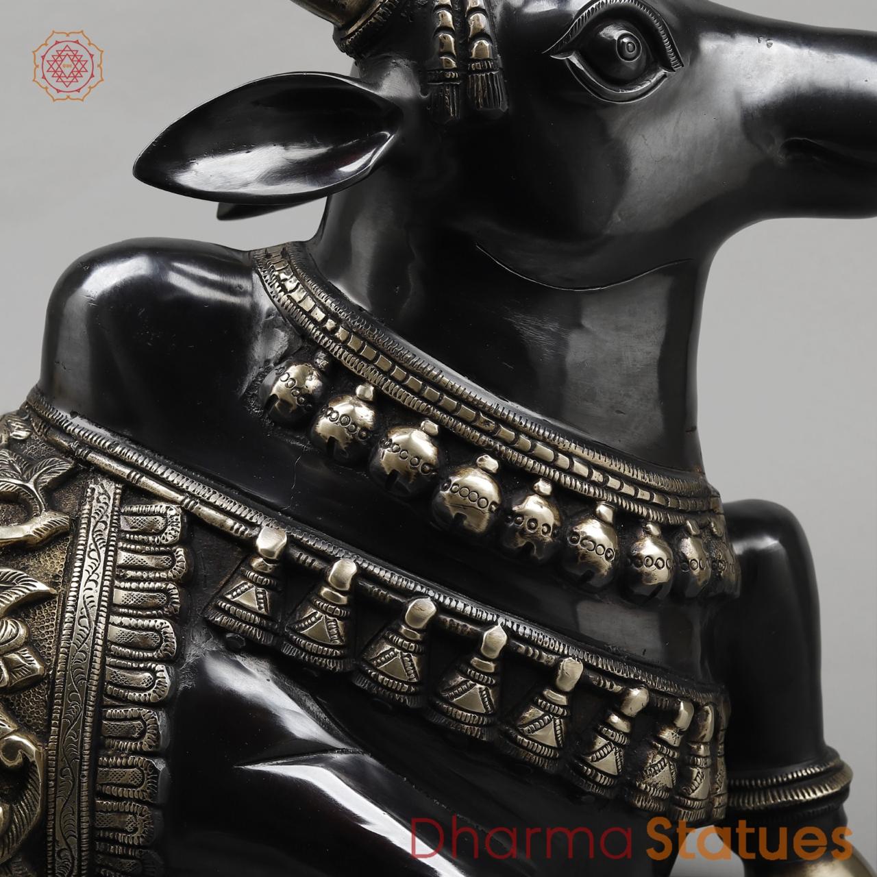 Brass Nandi Seated Fine, Royal Black Finish 21”