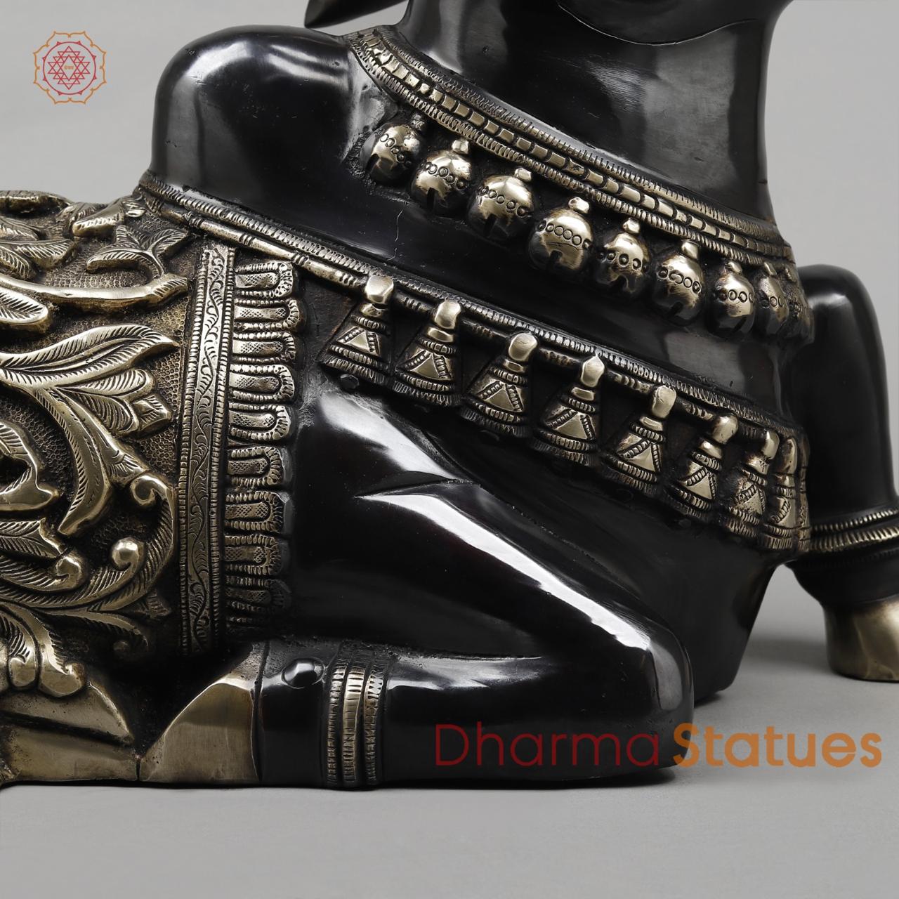 Brass Nandi Seated Fine, Royal Black Finish 21”