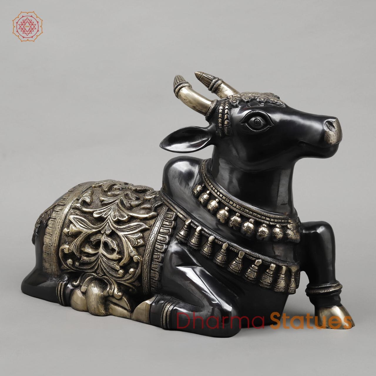 Brass Nandi Seated Fine, Royal Black Finish 21”