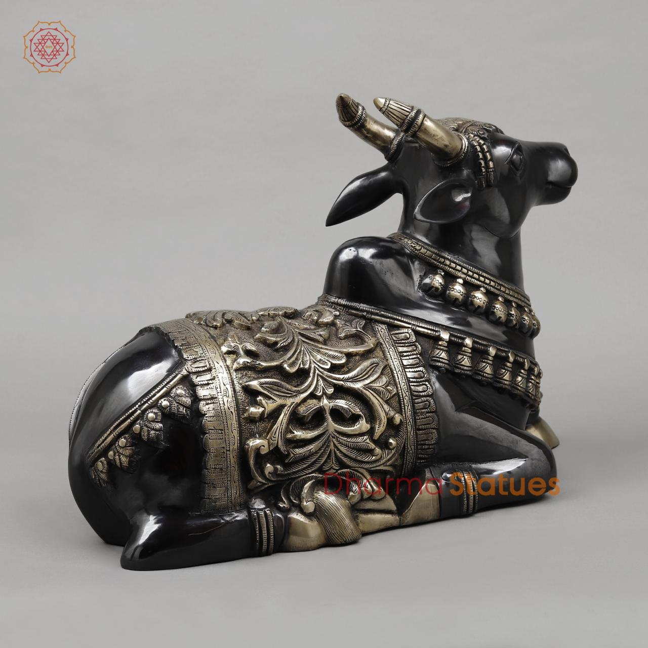 Brass Nandi Seated Fine, Royal Black Finish 21”