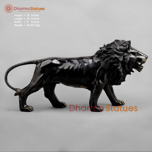 Brass Lion standing , Deep Black finish 34”