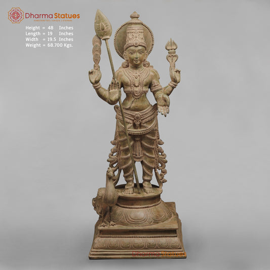 Brass Kartike Standing Fine, Green Patina Finish 48”