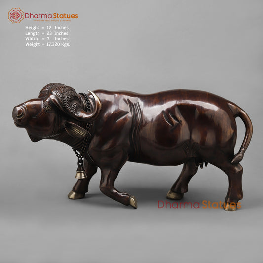 Brass Standing Buffalo, Copper finish 23”