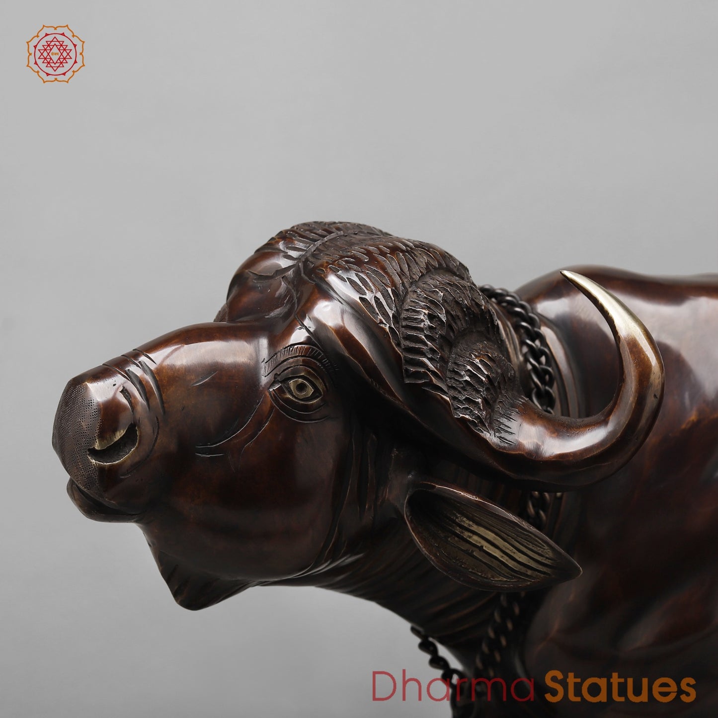 Brass Standing Buffalo, Copper finish 23”