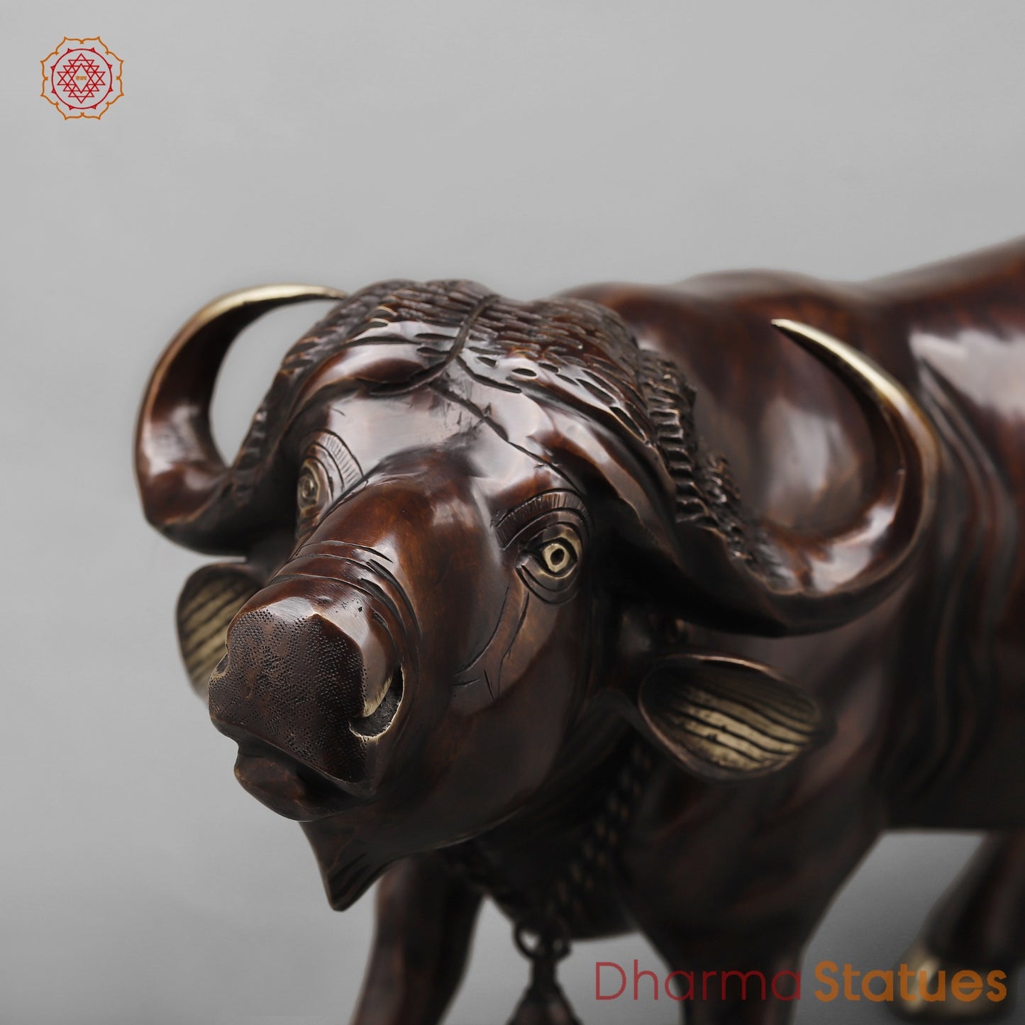 Brass Standing Buffalo, Copper finish 23”