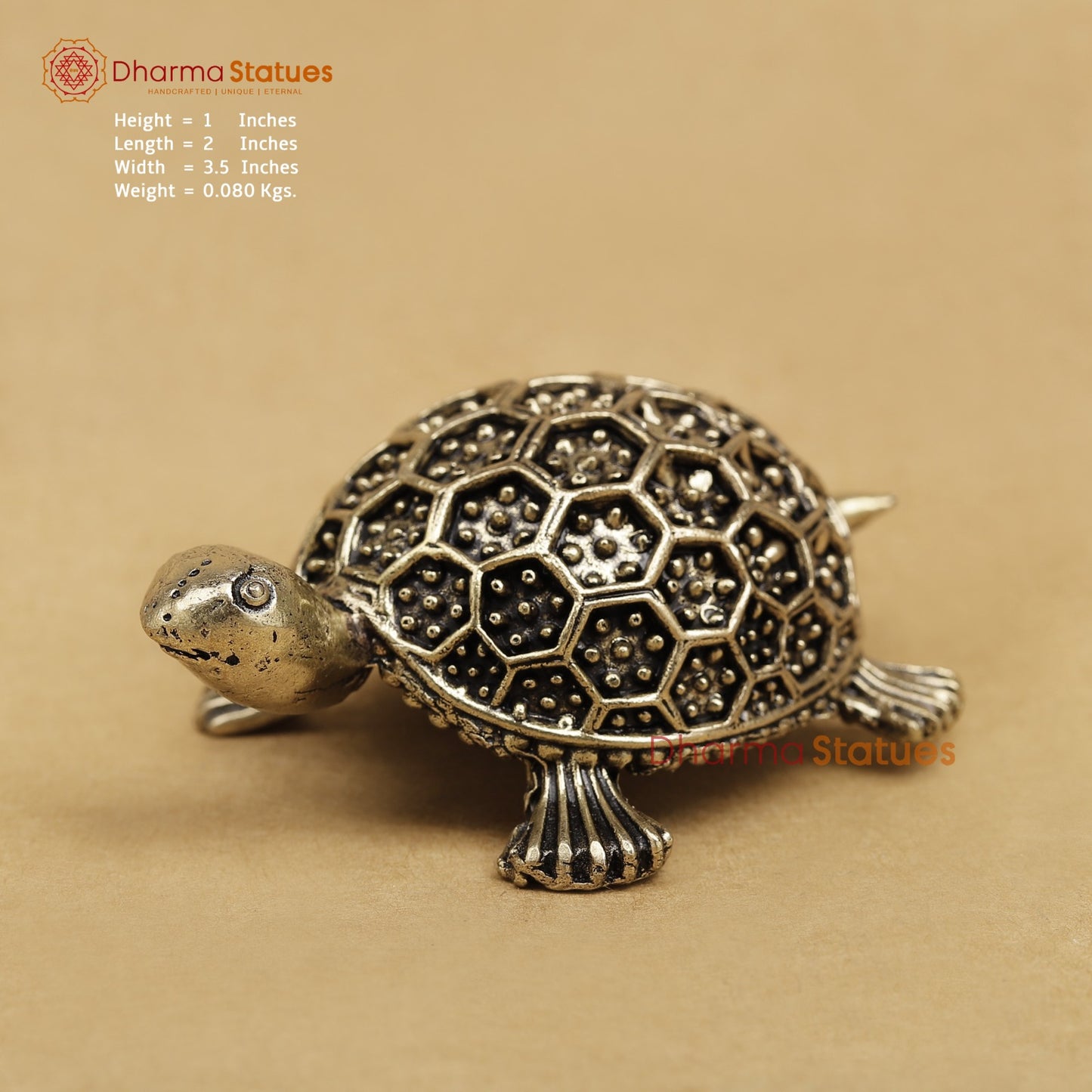Brass Tortoise Fine 3.5” (Vastu Friendly)