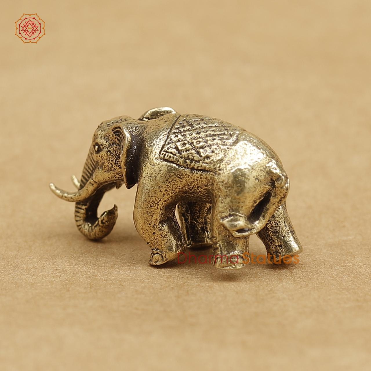Brass Elephant 0.5"