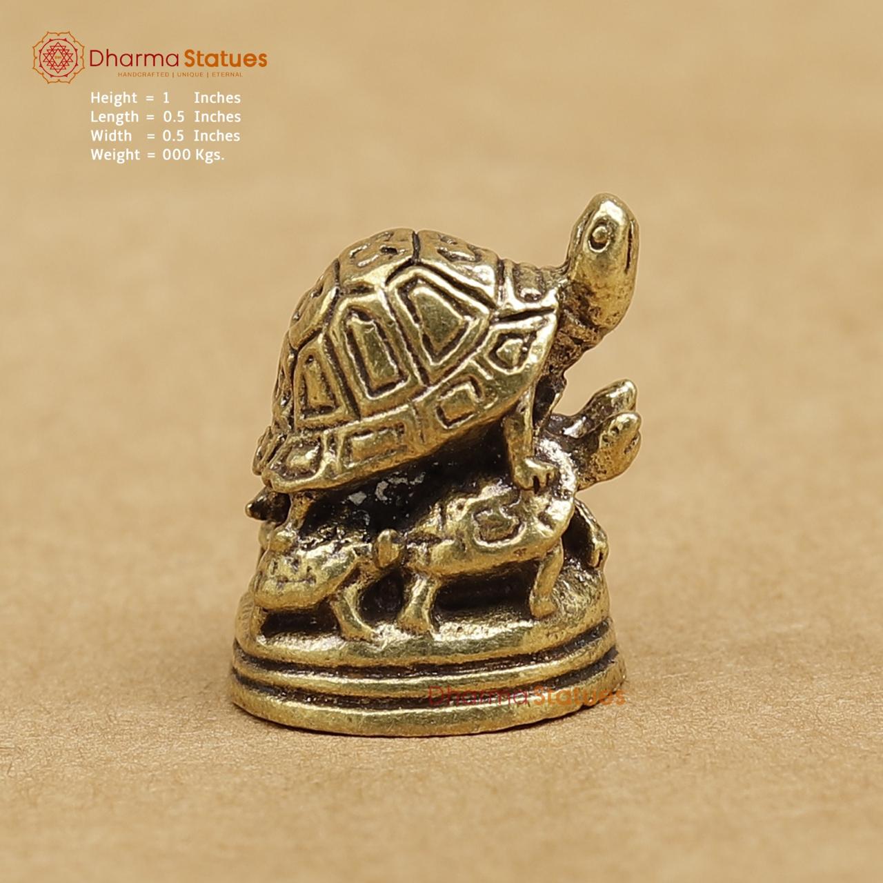 Brass Tortoise 1"