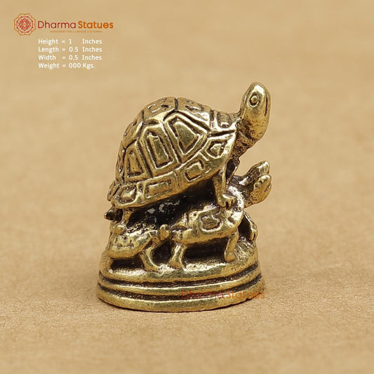 Brass Tortoise 1"
