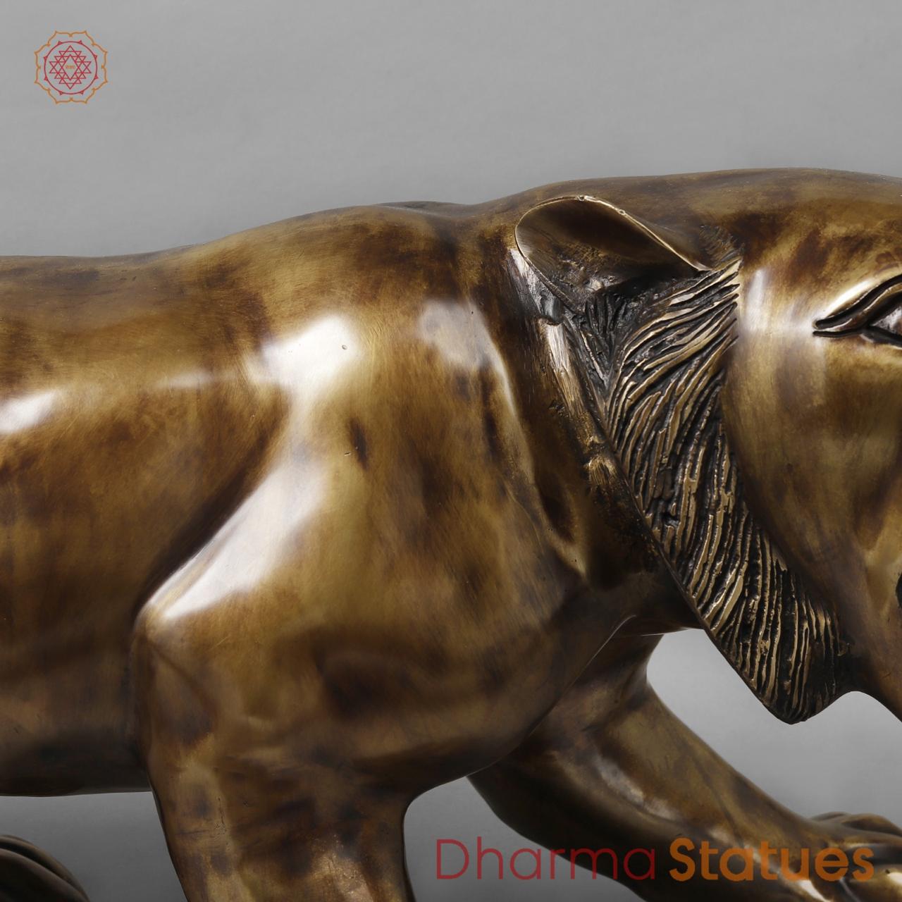 Brass Panther Fine , Copper Finish 32”