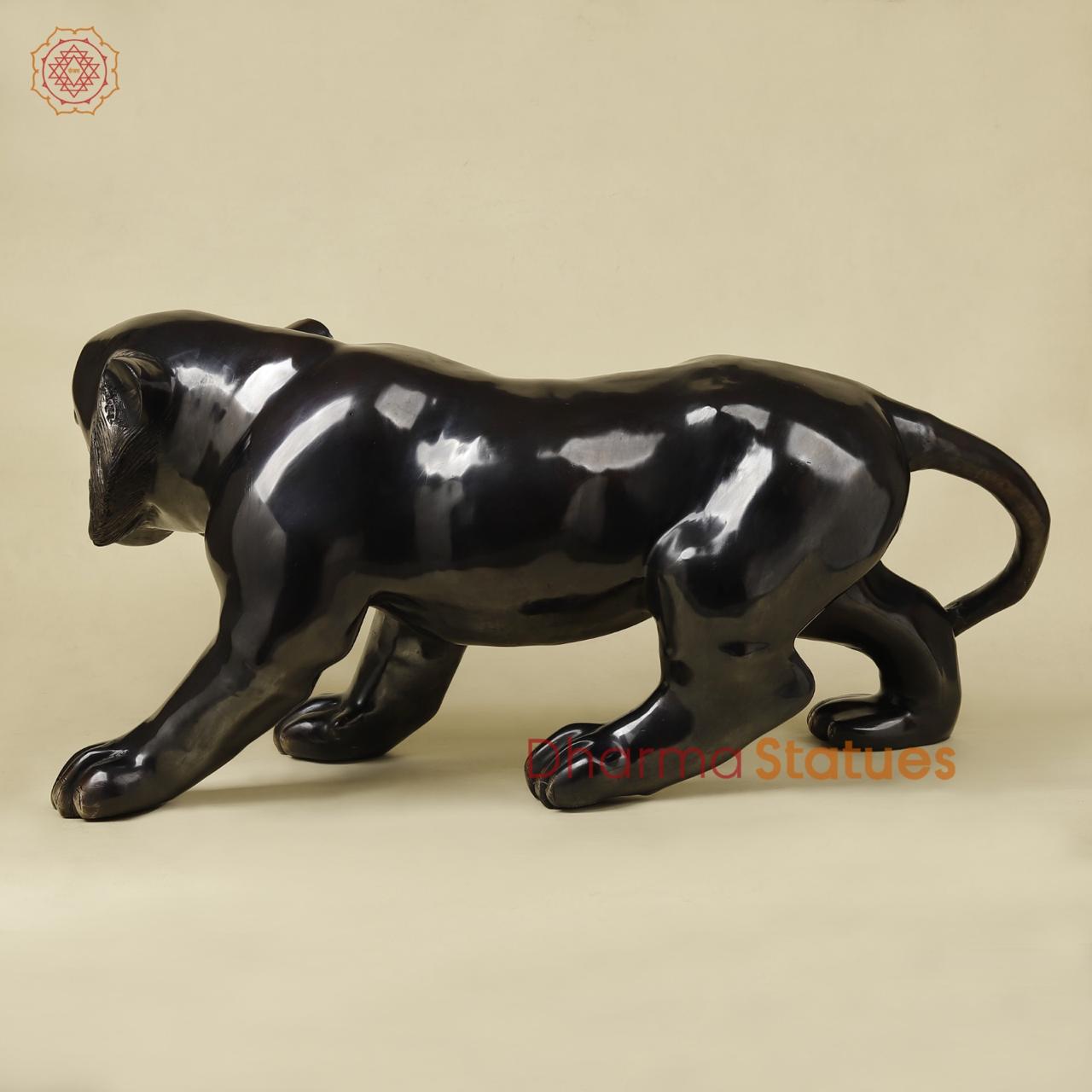 Brass Panther Fine, Royal black Finish 32”