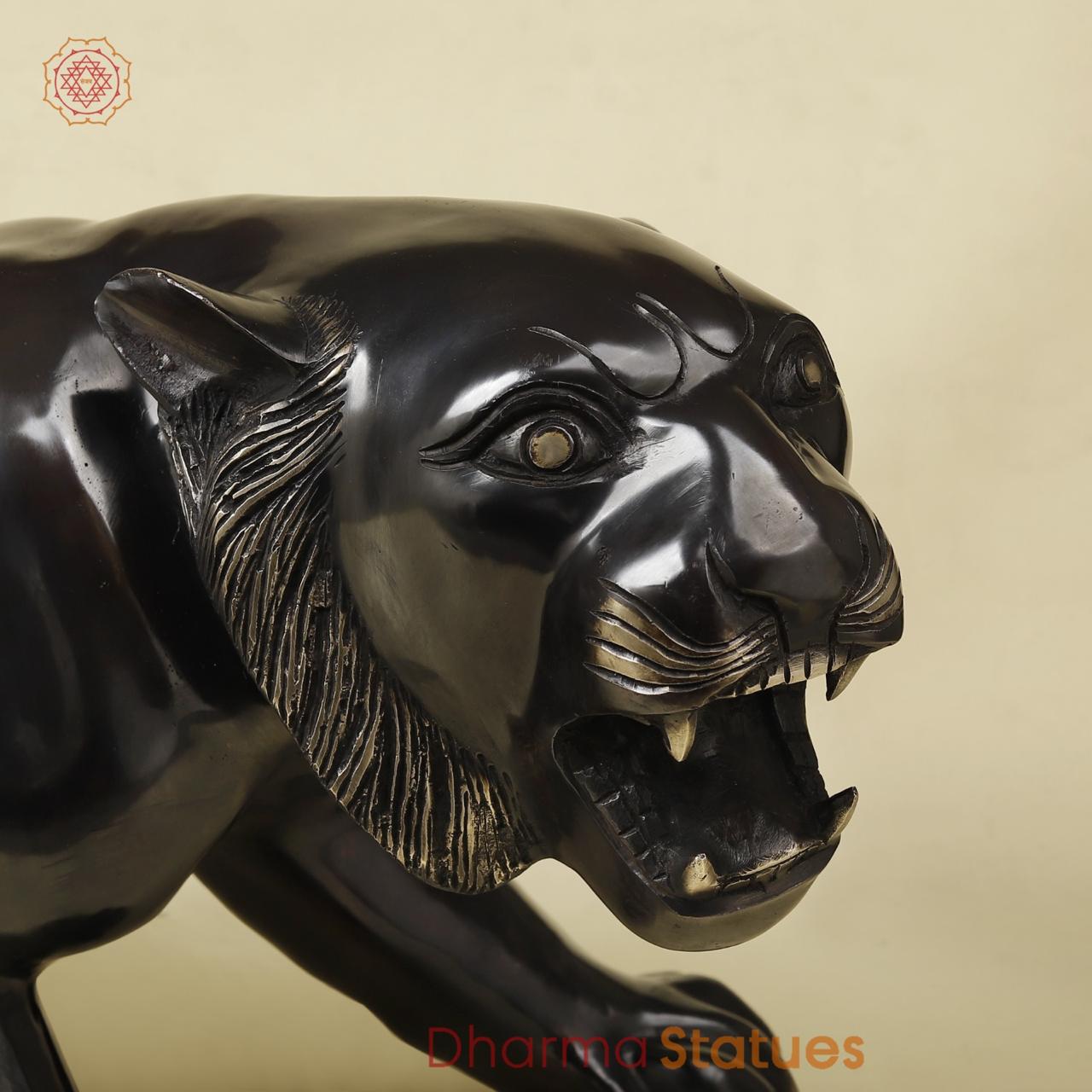 Brass Panther Fine, Royal black Finish 32”