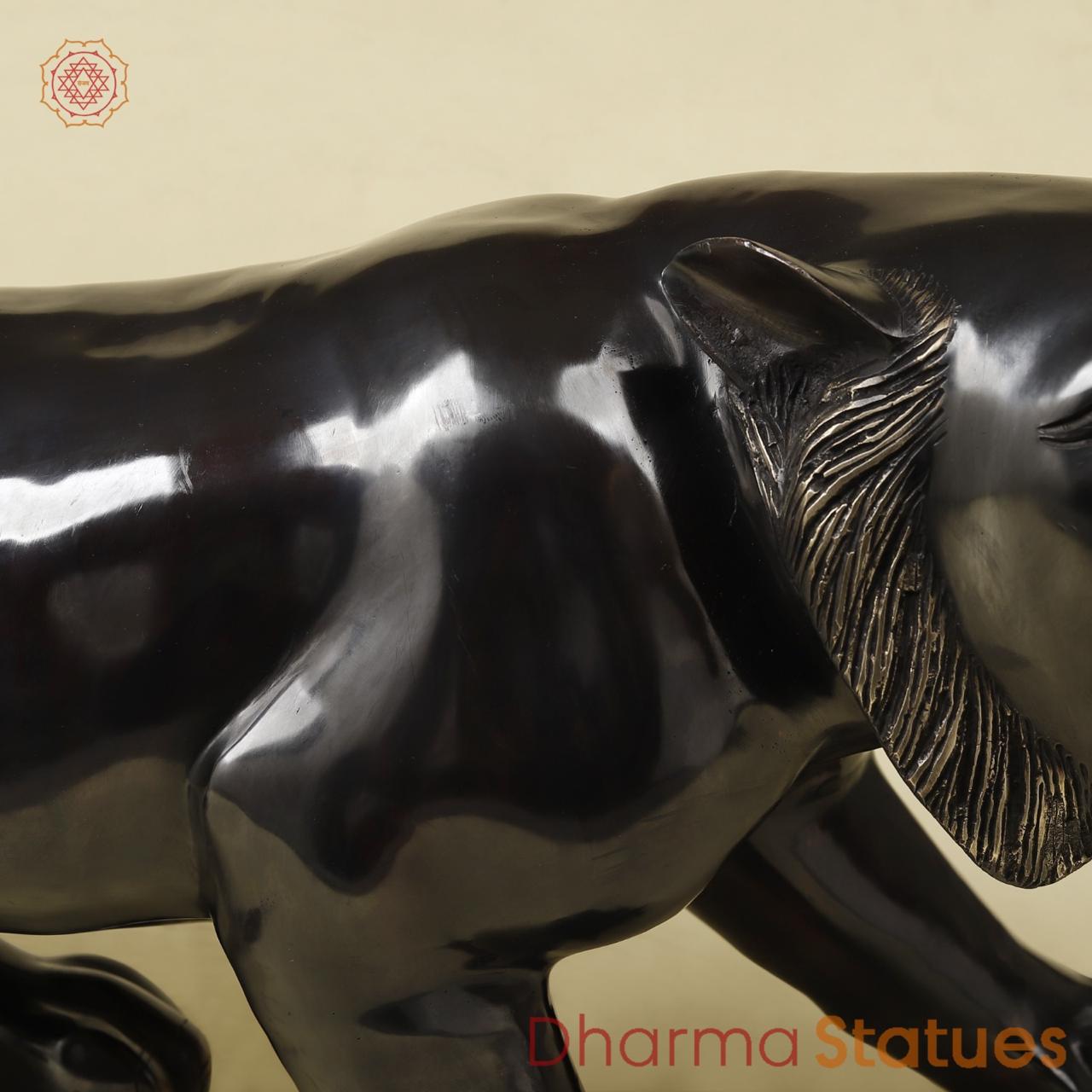 Brass Panther Fine, Royal black Finish 32”