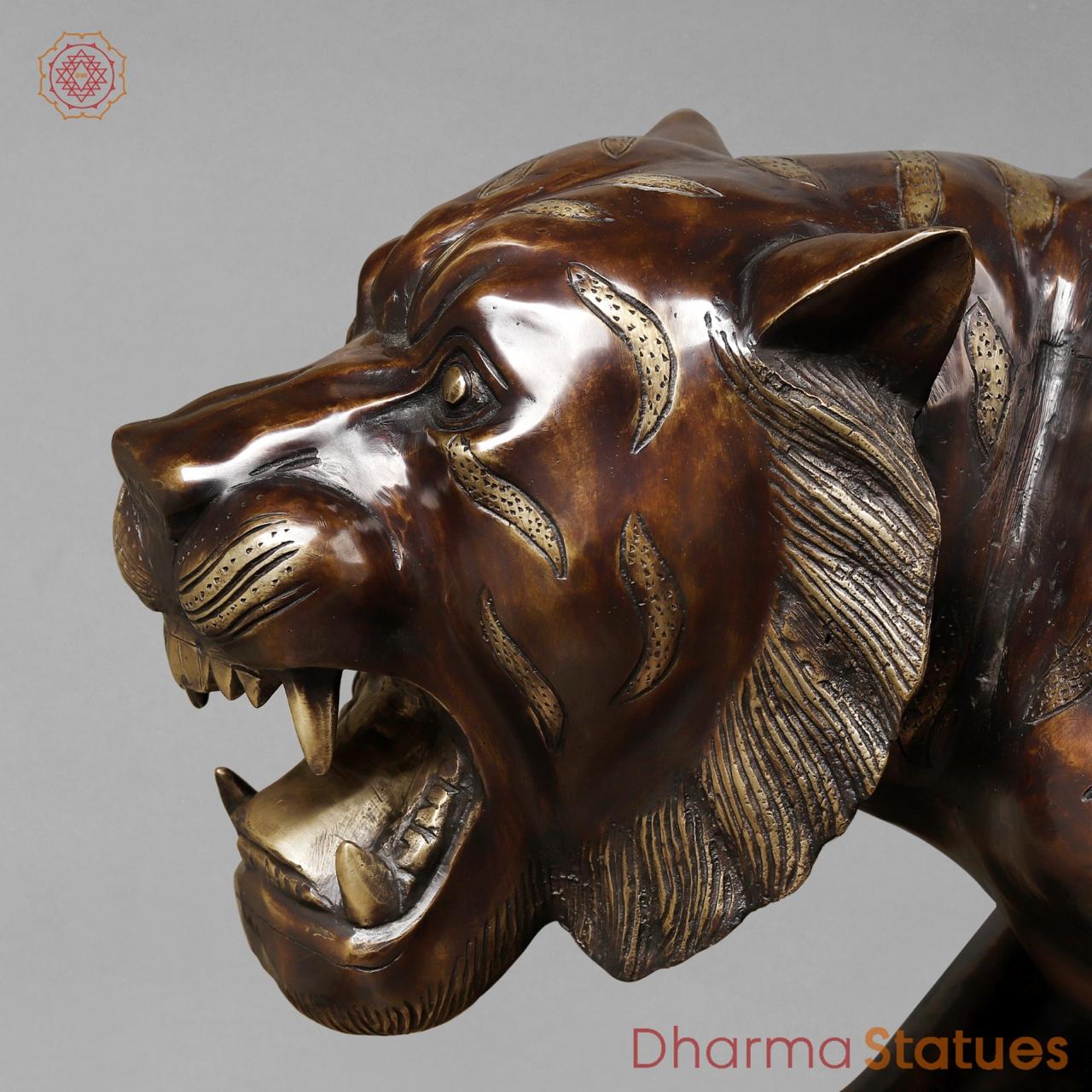 Brass Tiger Standing , Copper Finish 50”