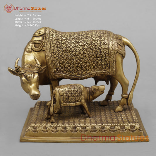 Brass Cow Calf Fine, Antique Finish 7.5”