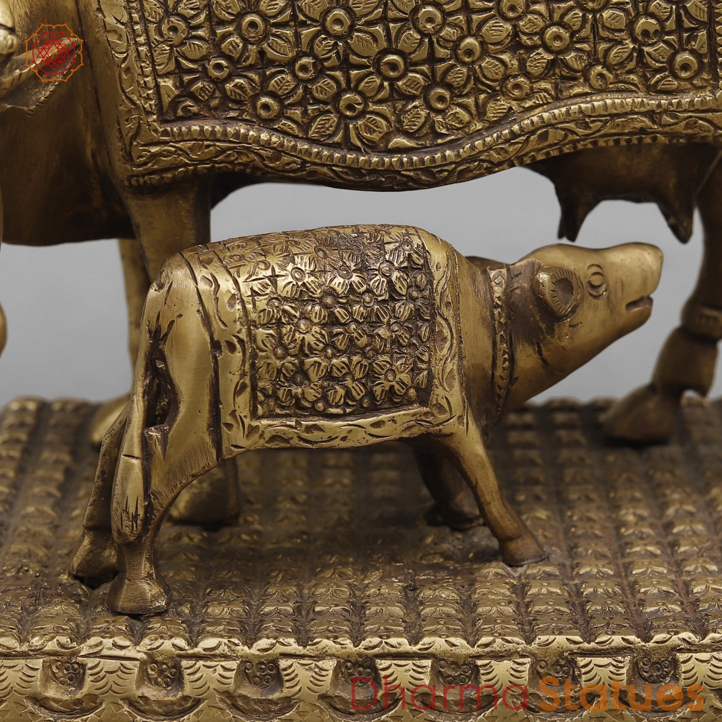 Brass Cow Calf Fine, Antique Finish 7.5”