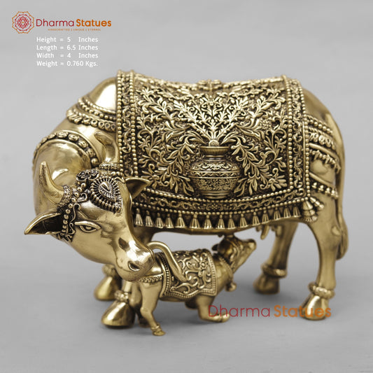 Brass Cow Calf Fine 6.5”