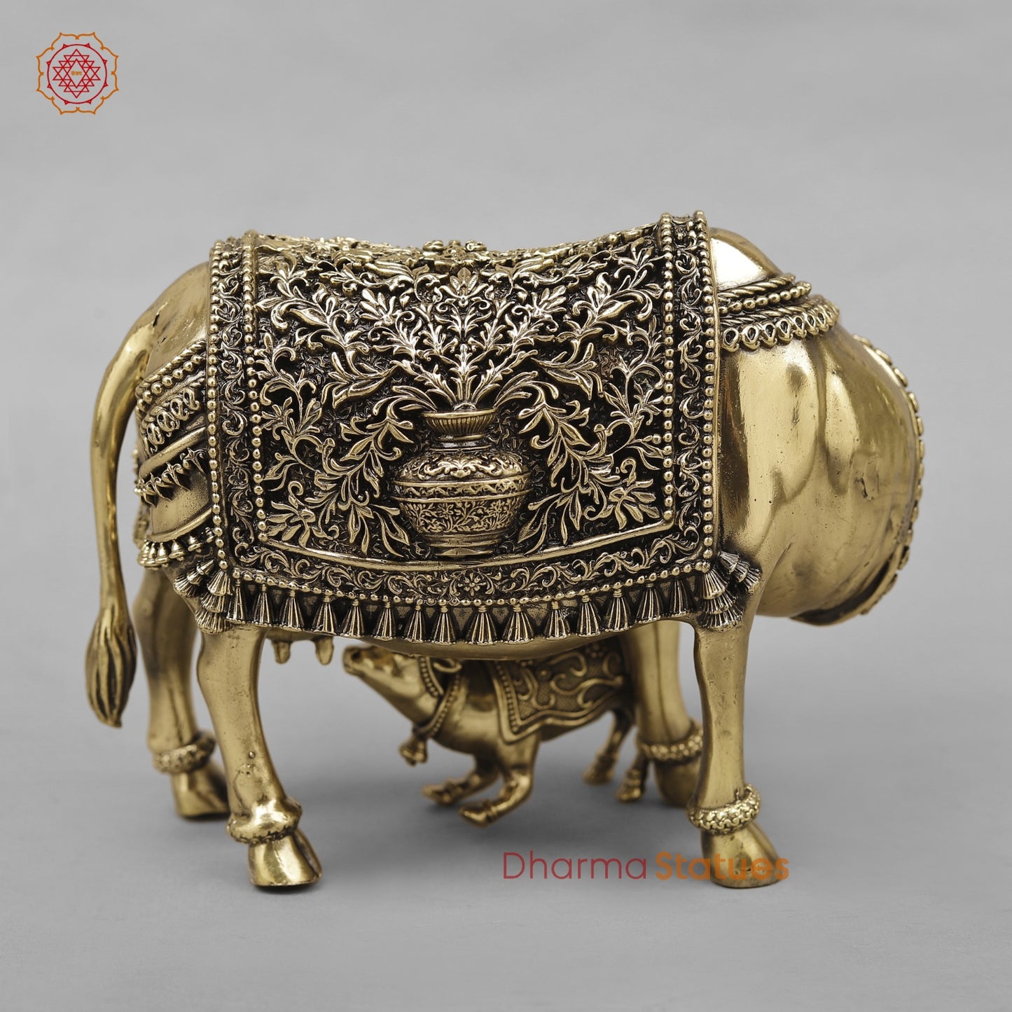 Brass Cow Calf Fine 6.5”