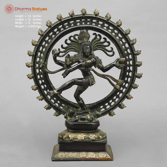 Brass Natraj fine ,Antique Black Finish 14”