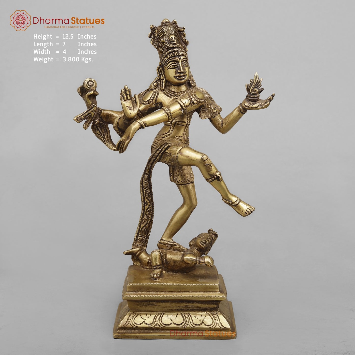 Brass Tandav shiva Fine, Antique Finish 12.5”