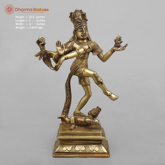 Brass Tandav shiva Fine, Antique Finish 12.5”