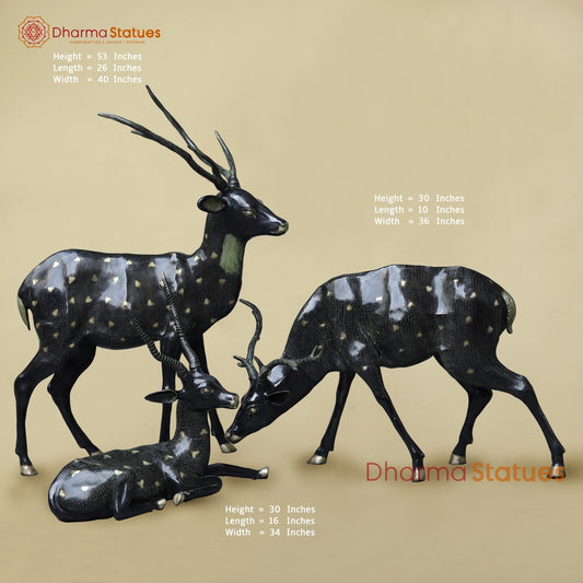 Brass Deer Family Set, Black Antique Finish 53”