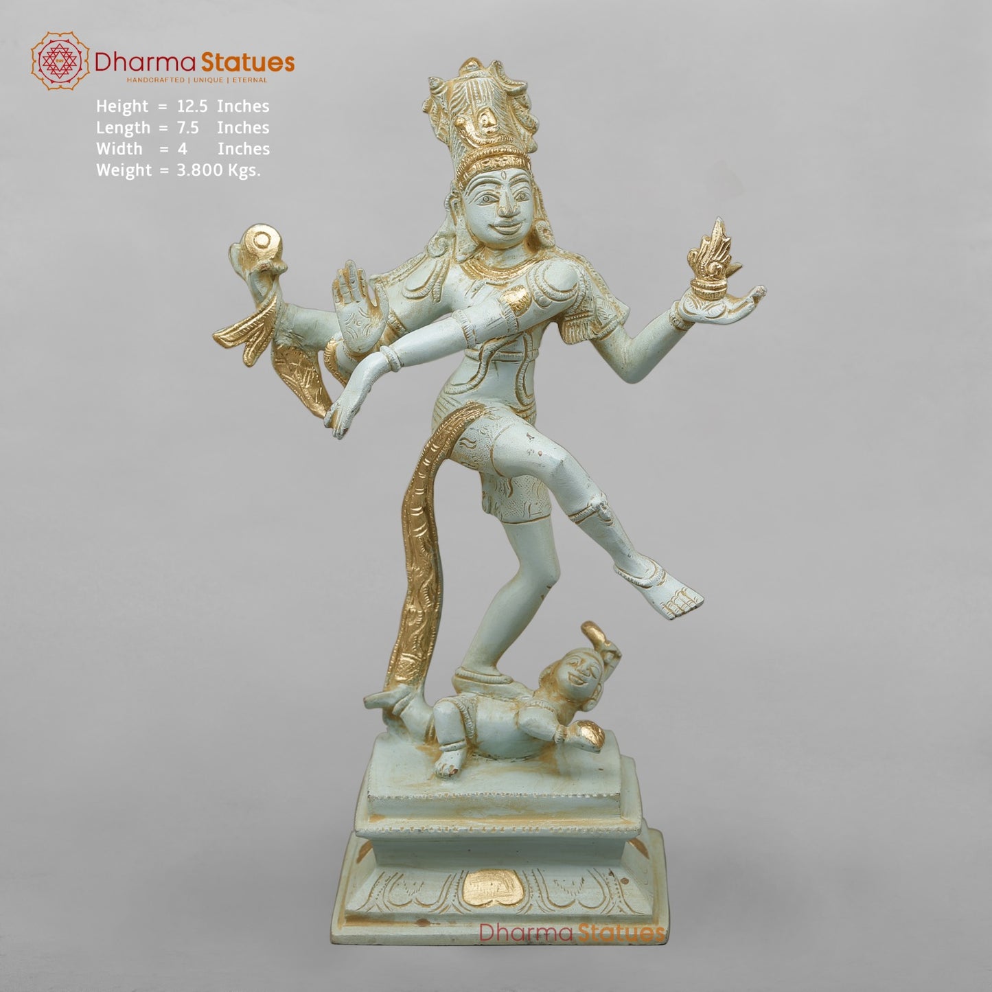 Brass Dancing Shiva Fine,Antique Blue and Gold finish 12.5”