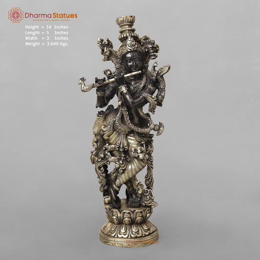 Brass Krishna Fine Standing, Royal Black Finish 14”