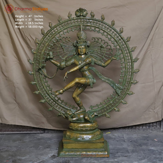 Brass Dancing Shiva (Natraj) Fine, Patina Finish 47”