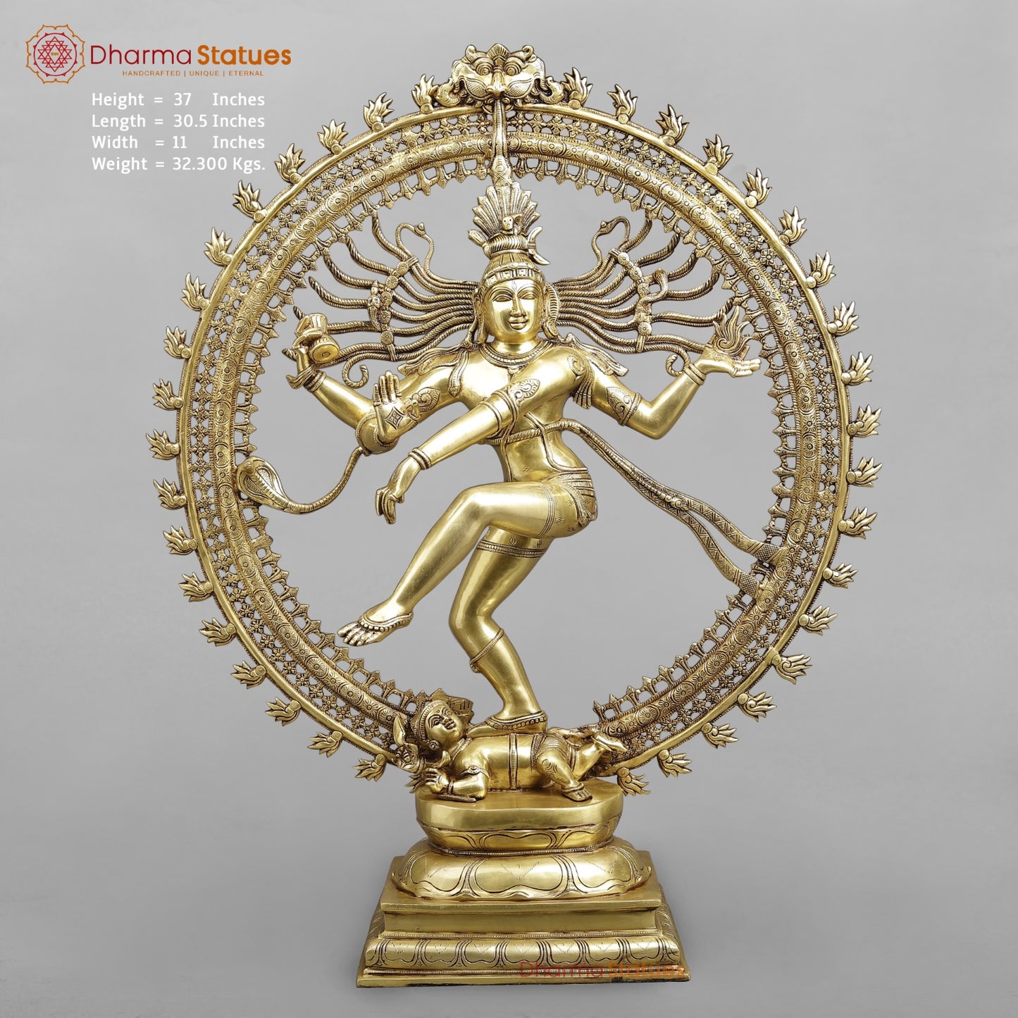 Brass Dancing Shiva (Natraj) Fine, Special Gold Finish 37"
