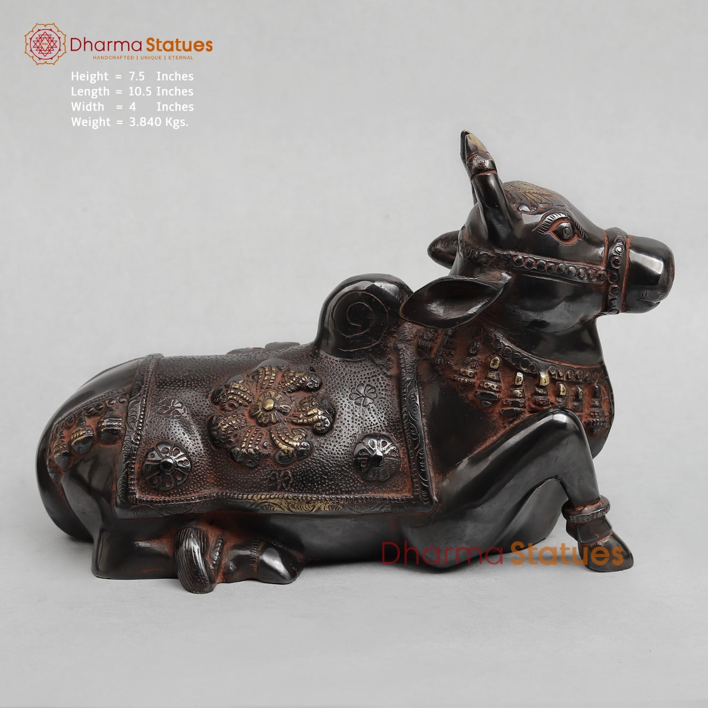 Brass Nandi saeted Fine, Royal Black With Red Hues Finish 10.5”