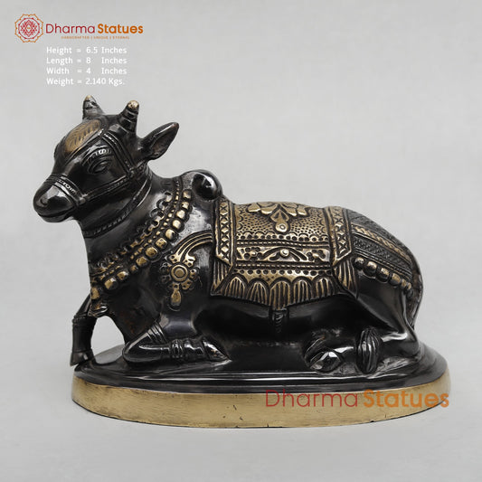 Brass Nandi seated Fine, Royal black Finish 8”