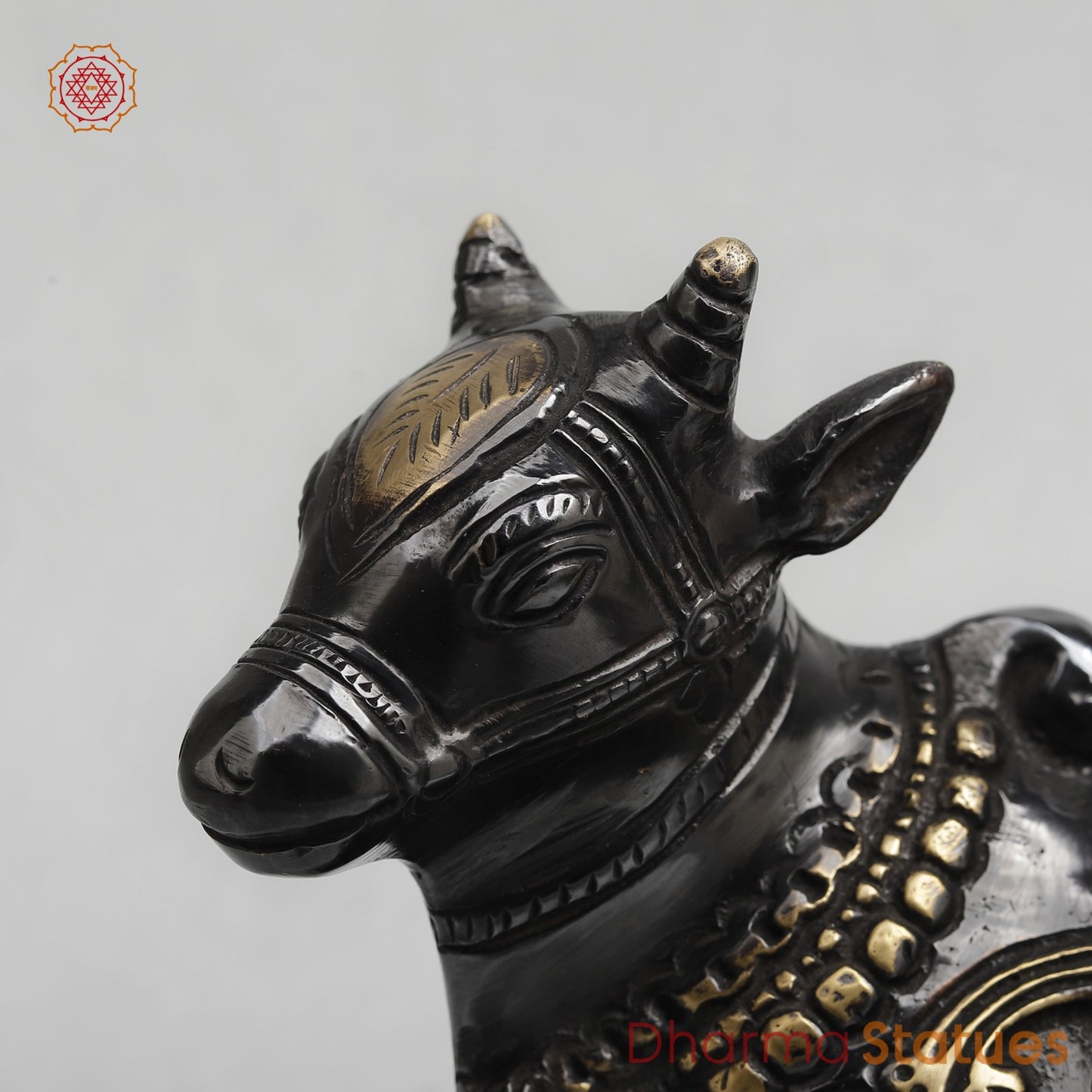 Brass Nandi seated Fine, Royal black Finish 8”