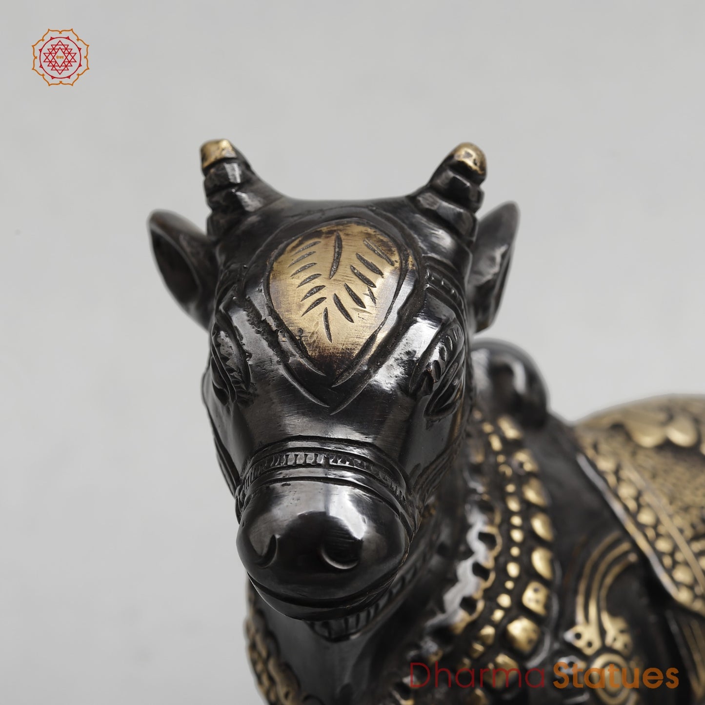 Brass Nandi seated Fine, Royal black Finish 8”