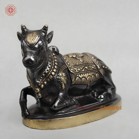 Brass Nandi seated Fine, Royal black Finish 8”