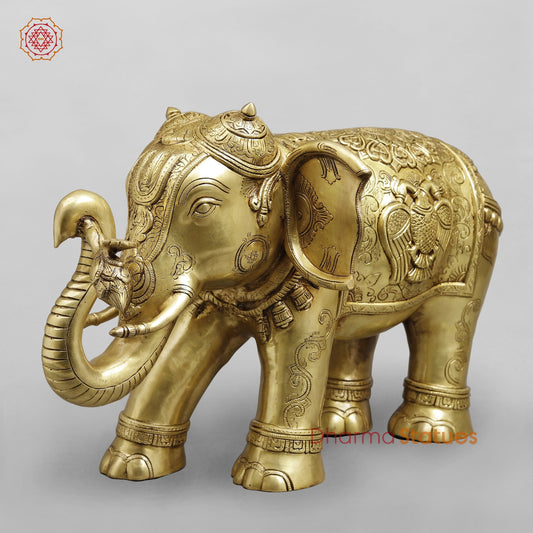 Brass Elephant Holding Lotus In trunk (Airavat) with Peacock Carving Fine, Special Gold Finish 25”