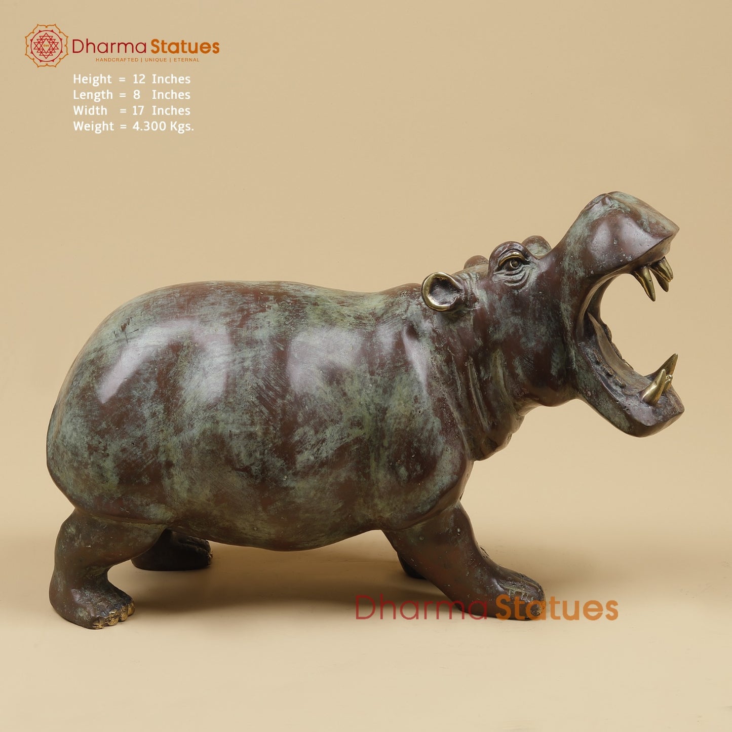 Bronze Exotic Hippopotamus Fine, Copper Rustic Finish 17” Origin - Java, Indonesia
