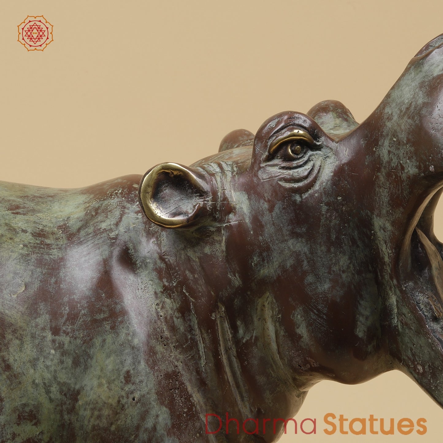 Bronze Exotic Hippopotamus Fine, Copper Rustic Finish 17” Origin - Java, Indonesia