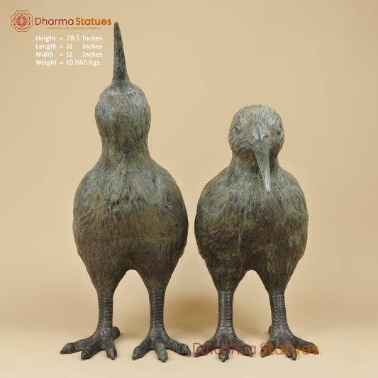 Bronze Kiwi Couple Set, Natural Patina 29” (Rare Find) Origin- Java, Indonesia