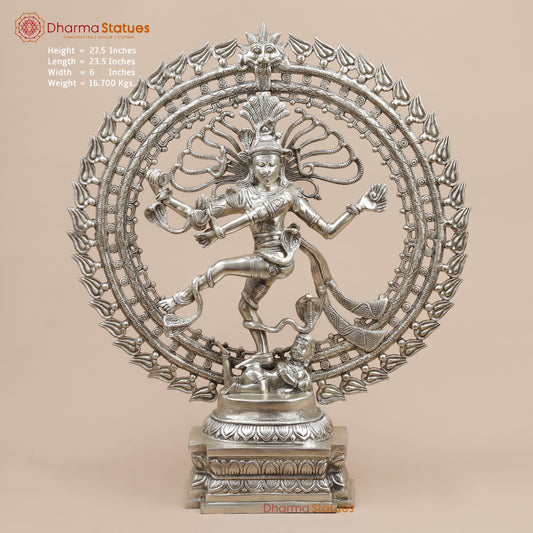 Brass Natraj fine, Silver Finish  28”